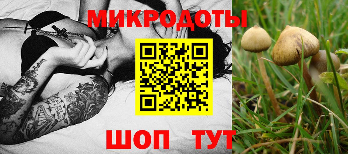 Псилоцибиновые грибы Psilocybe  Галлюциногенные грибы Magic Shrooms  Вход с VPN  Обнинск 
